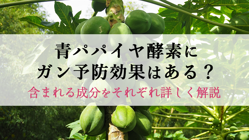 青パパイヤ酵素にガン予防効果はある？含まれる成分をそれぞれ詳しく