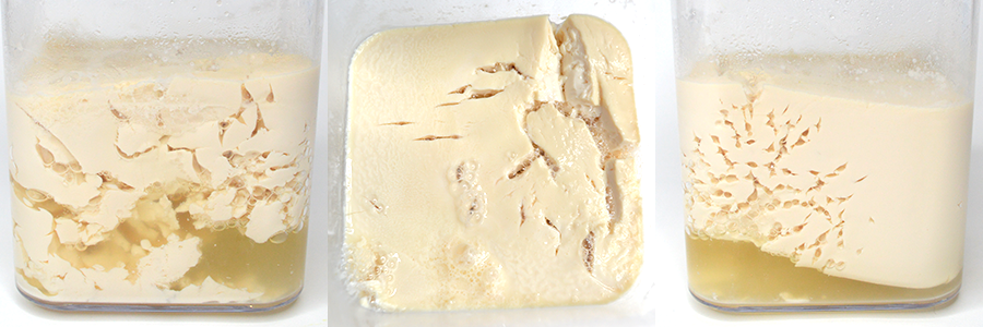 豆乳ヨーグルトの過発酵状態写真