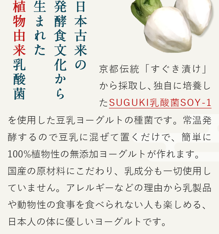 日本古来の発酵食文化から 生まれた植物由来乳酸菌
京都伝統「すぐき漬け」から採取し、独自に培養したSUGUKI乳酸菌SOY-1を使用した豆乳ヨーグルトの種菌です。常温発酵するので豆乳に混ぜて置くだけで、簡単に100%植物性の無添加ヨーグルトが作れます。
国産の原材料にこだわり、乳成分も一切使用していません。アレルギーなどの理由から乳製品や動物性の食事を食べられない人も楽しめる、日本人の体に優しいヨーグルトです。
